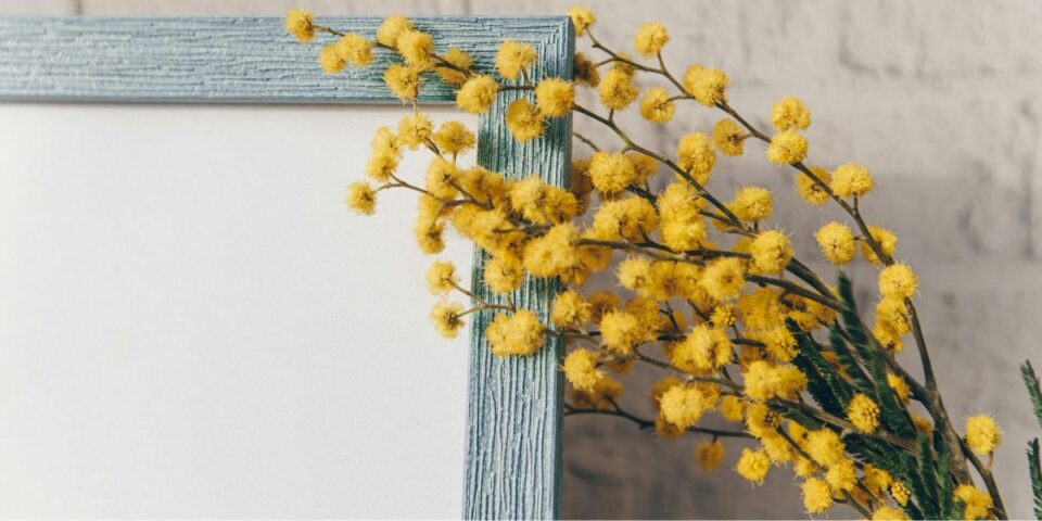 Progetto senza titolo (5)