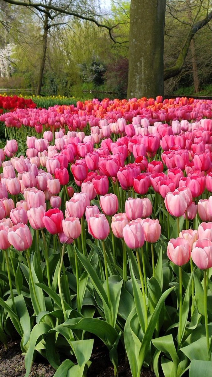 valigia perfetta per Amsterdam con Hybrid
